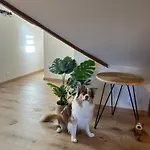 Le Cocon D Auguste 아파트 르아브르