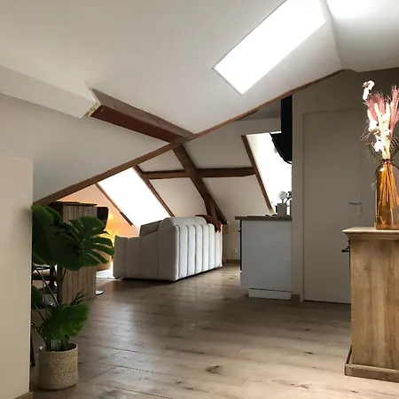 Appartement Le Cocon D Auguste