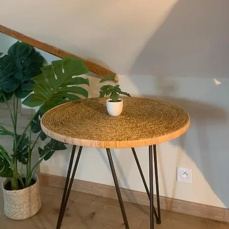 Le Cocon D Auguste Appartement *