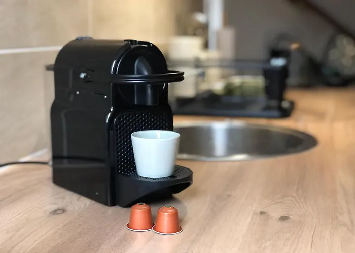 Le Cocon D Auguste Apartment